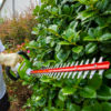 40V Max Lithium-Ion Hedge Trimmer